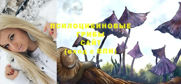 прущие грибы Алексеевка