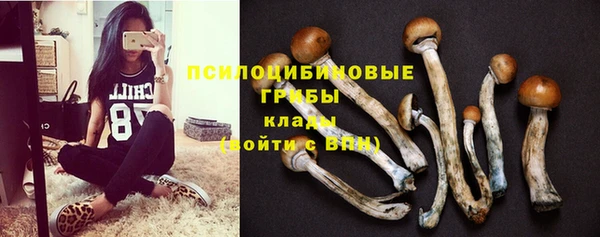 СК Няндома