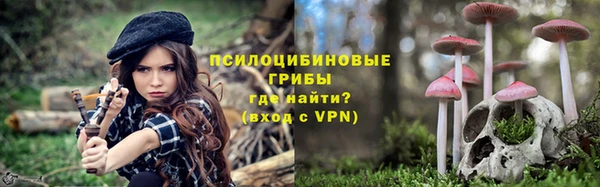 прущие грибы Алексеевка
